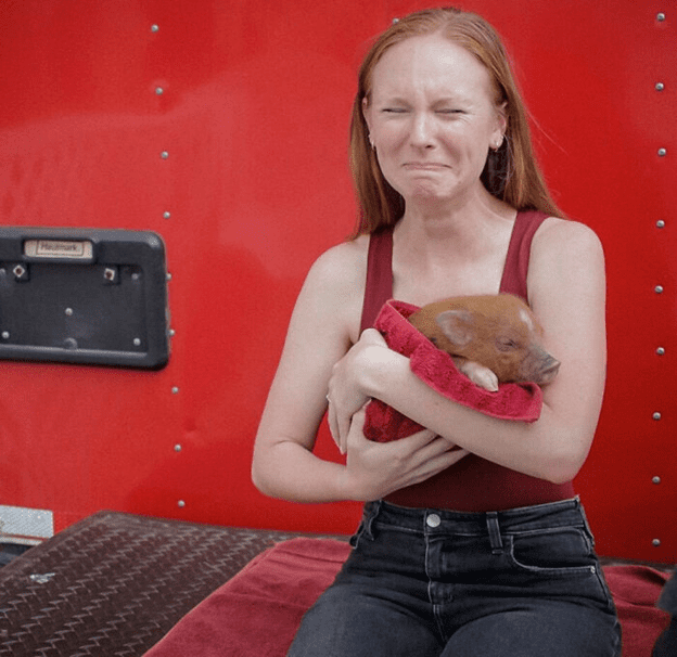  friendly and loving pig