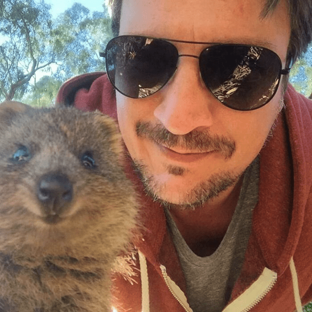 Adorable Quokkas