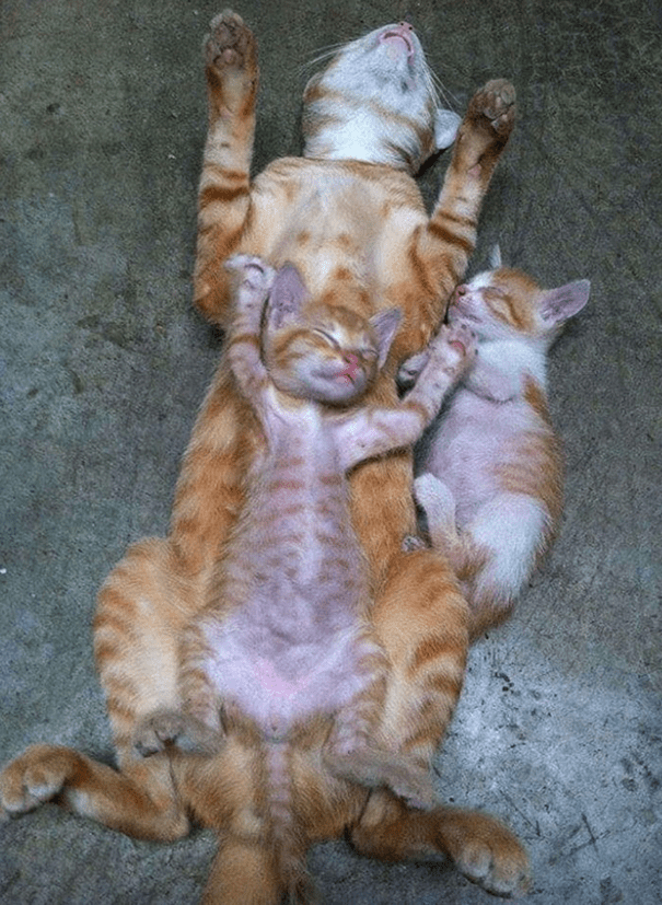family sleeping