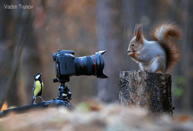 squirrel photo session