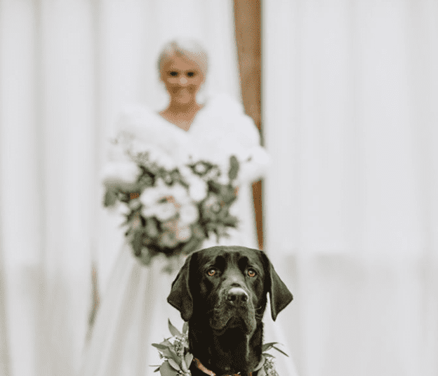 Bride with Dog