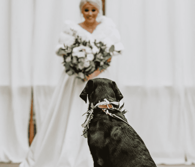 Bride with Dog