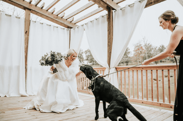 Bride with Dog