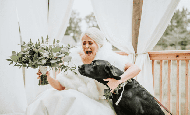 Bride with Dog