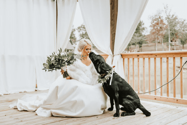 Bride with Dog