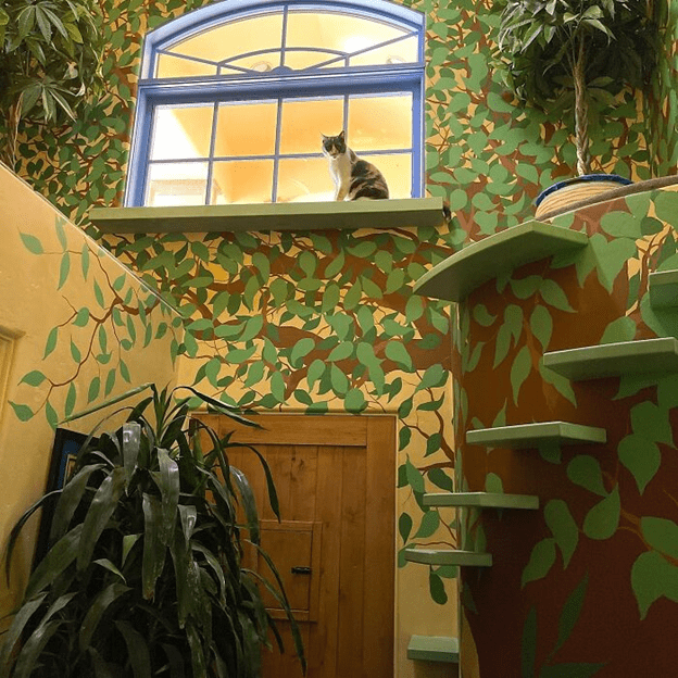 cat house