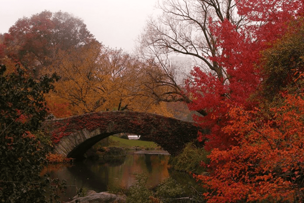 transformations of autumn season