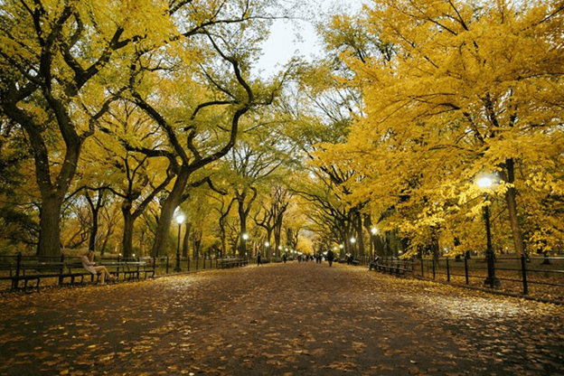 transformations of autumn season