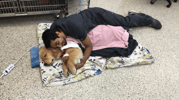 Happy time at animal clinic.