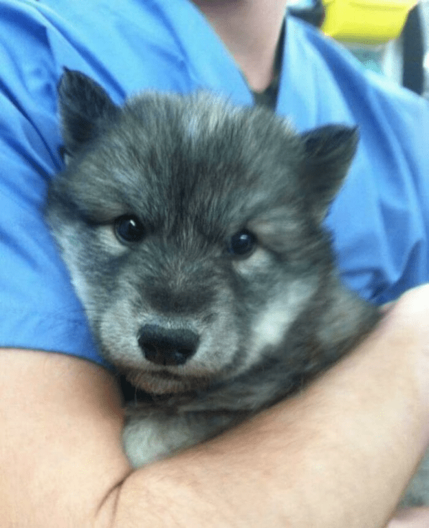 Happy time at animal clinic.