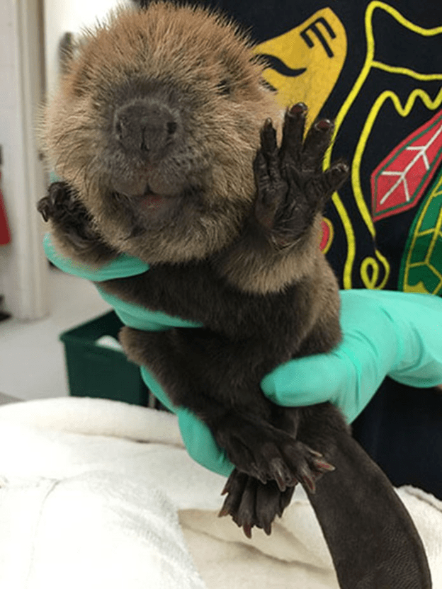 Happy time at animal clinic.