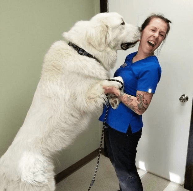 Happy time at animal clinic.