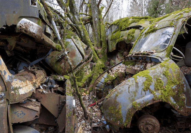 Abandoned Classic Cars
