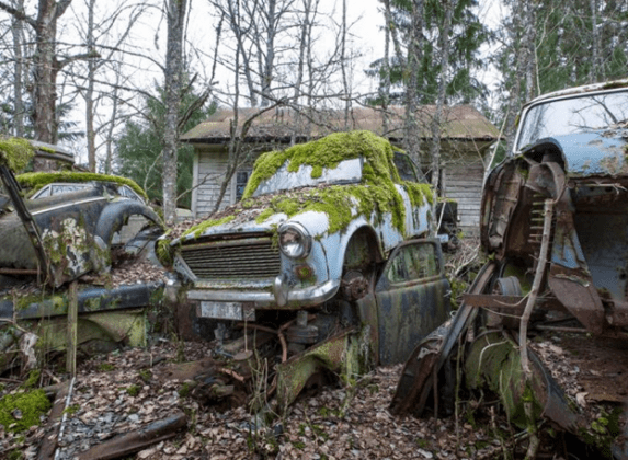 Photographs Of The Swedish Graveyard Of Abandoned Classic Cars