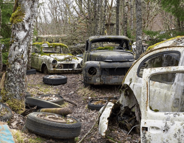 Abandoned Classic Cars