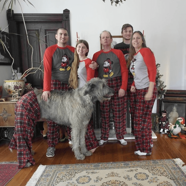 Irish Wolfhounds