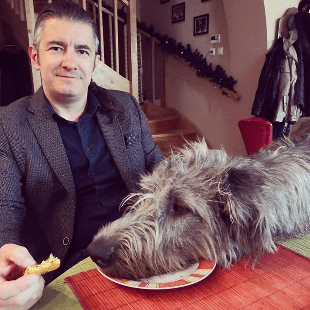 Irish Wolfhounds