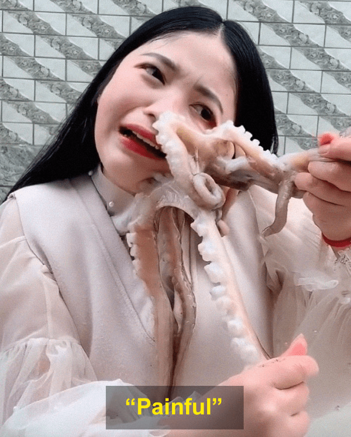 Octopus Attacks to girl
