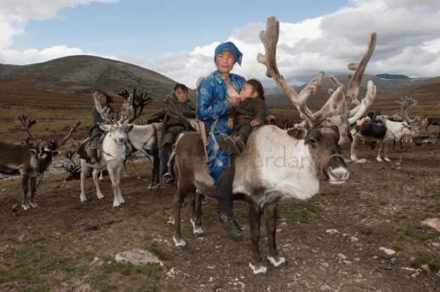 Mongolian culture