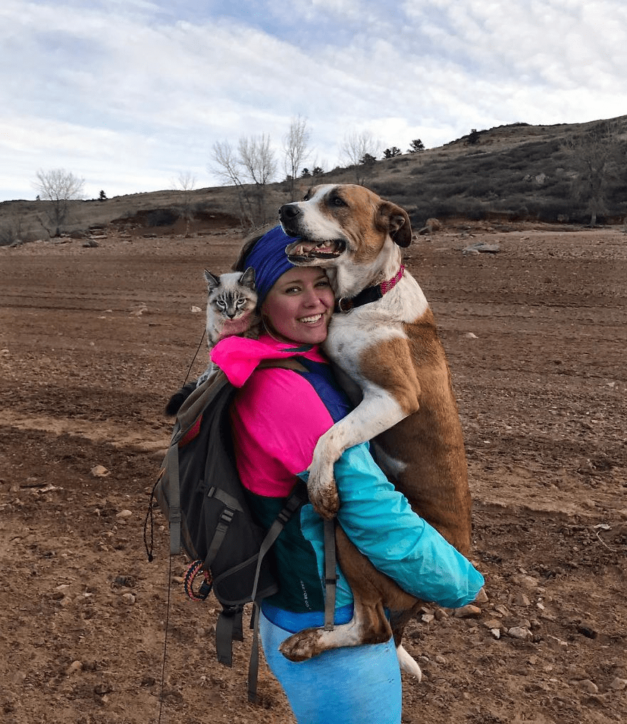 cat and dog 