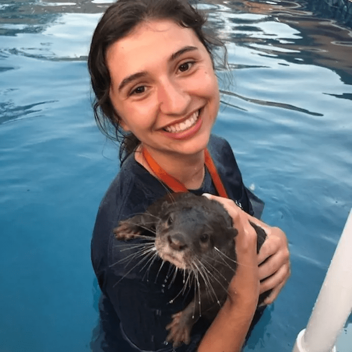 swim with baby otters