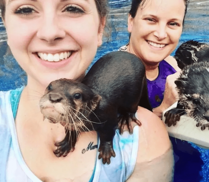 swim with baby otters