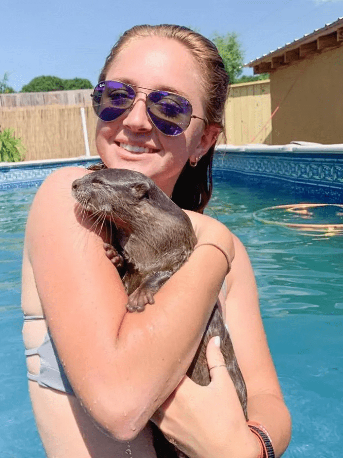 swim with baby otters