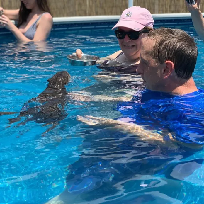 swim with baby otters