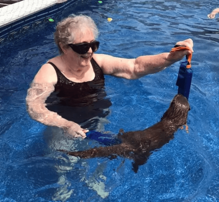 swim with baby otters