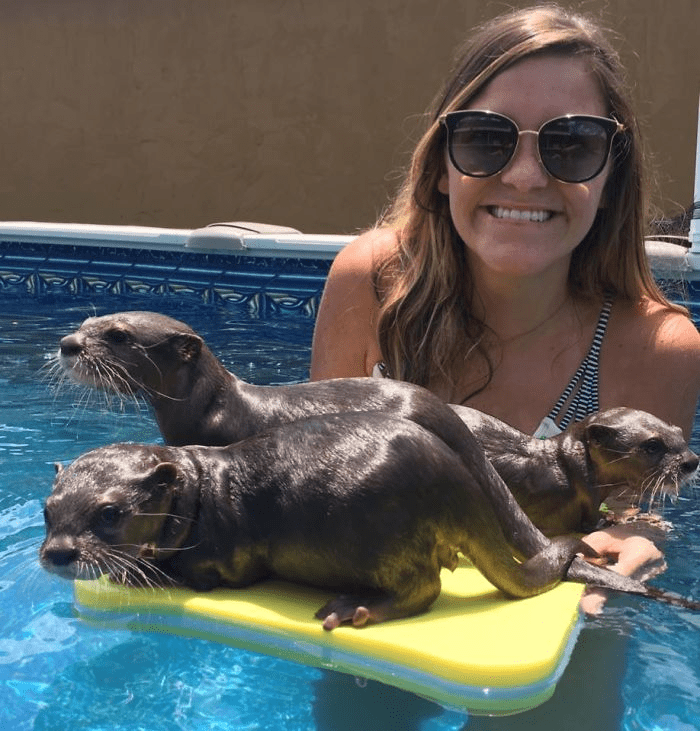 swim with baby otters