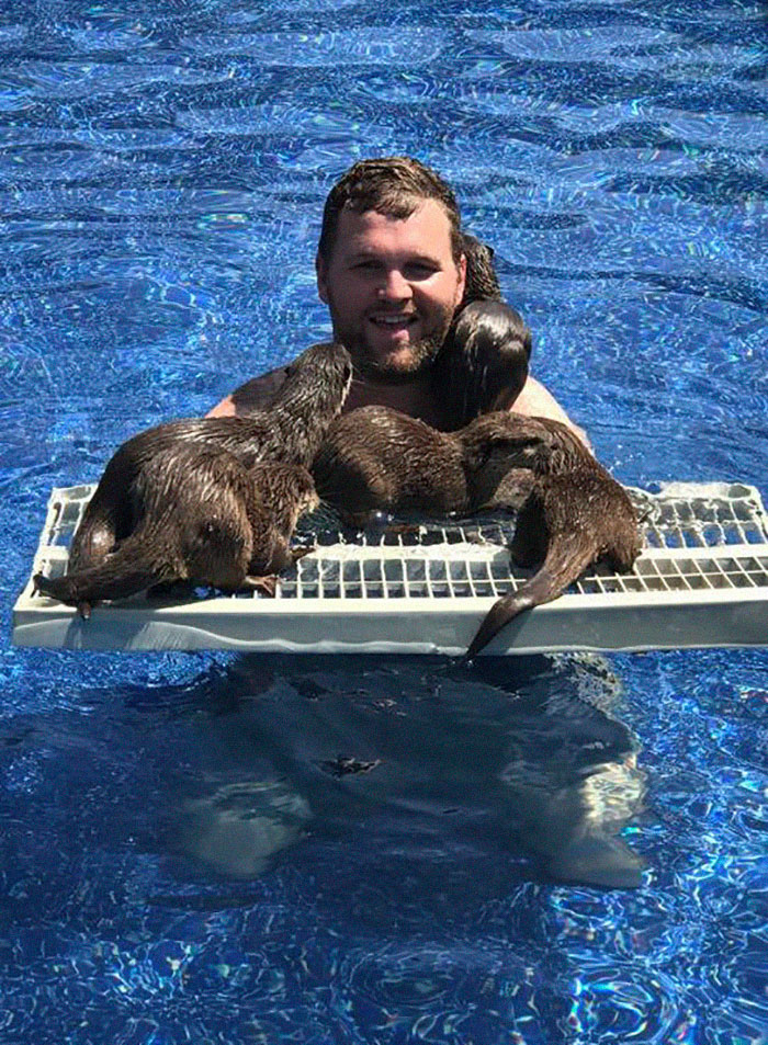 swim with baby otters