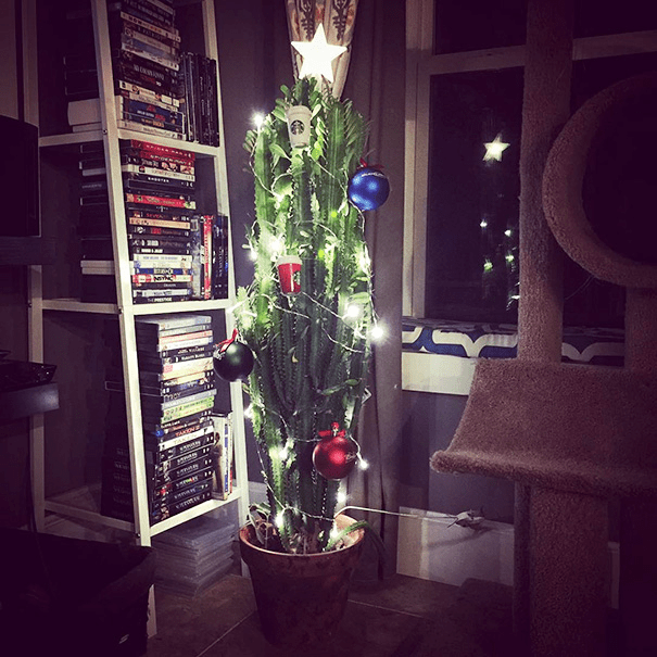 Christmas Trees Safe From Asshole Dogs And Cats. 