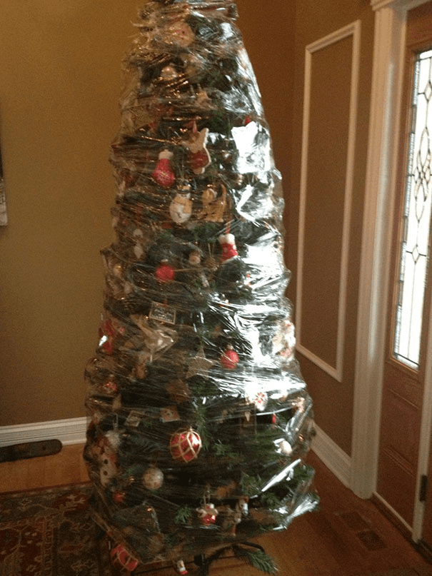 Christmas Trees Safe From Asshole Dogs And Cats. 