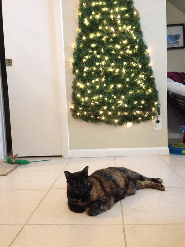 Christmas Trees Safe From Asshole Dogs And Cats. 