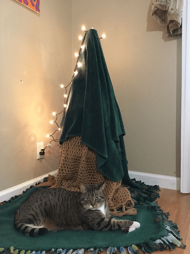 Christmas Trees Safe From Asshole Dogs And Cats. 