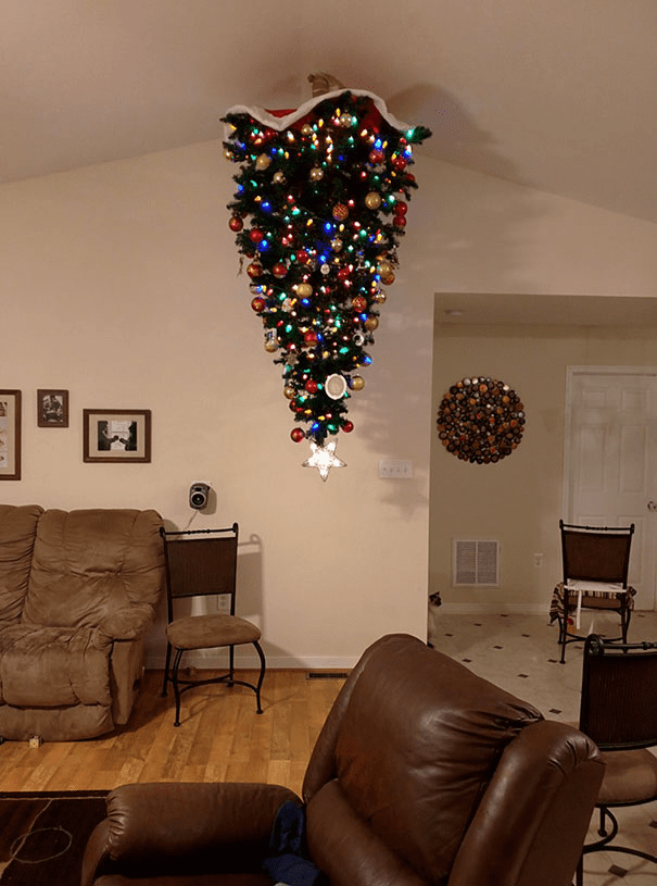 Christmas Trees Safe From Asshole Dogs And Cats. 