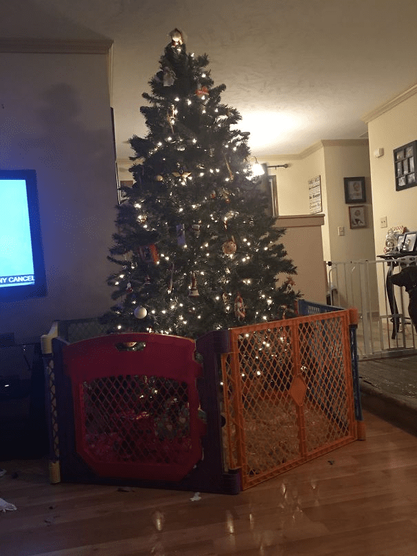 Christmas Trees Safe From Asshole Dogs And Cats. 