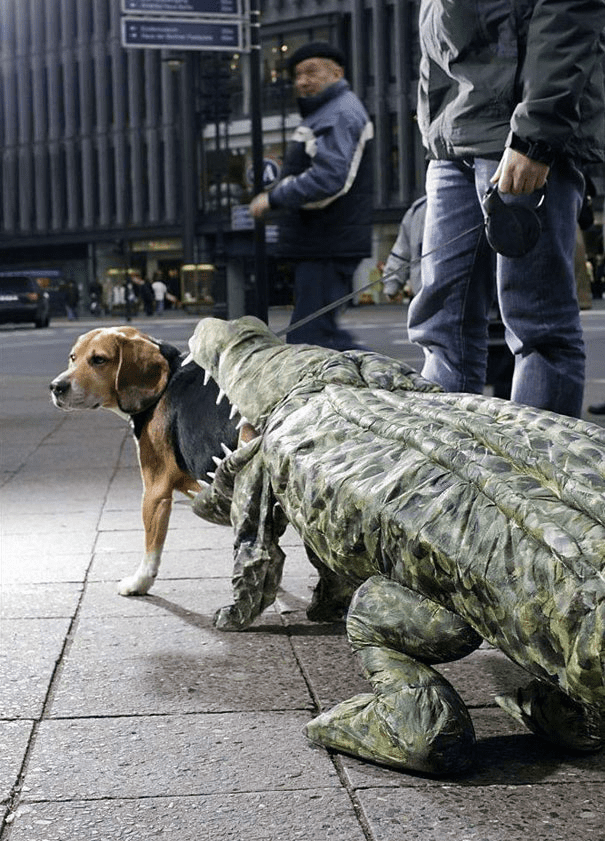 Pet Halloween Costumes