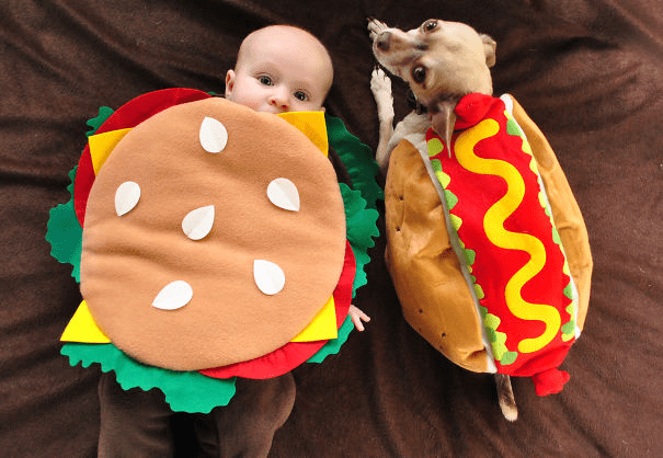 Pet Halloween Costumes