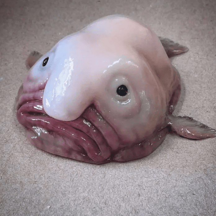 unique fish