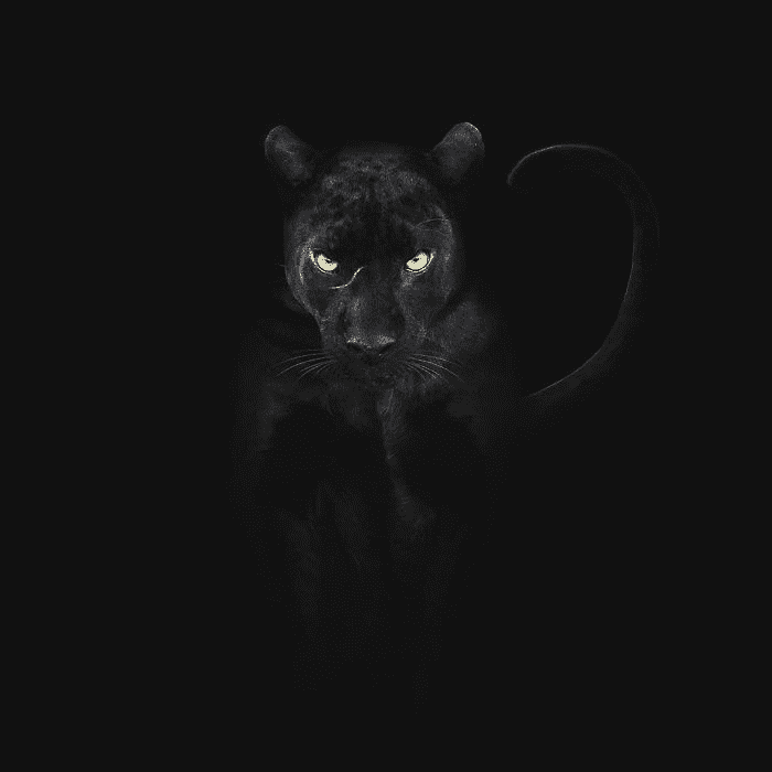 Black Panther