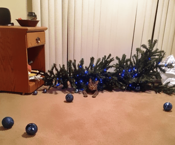 pets destroying Christmas deco