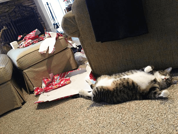 pets destroying Christmas deco