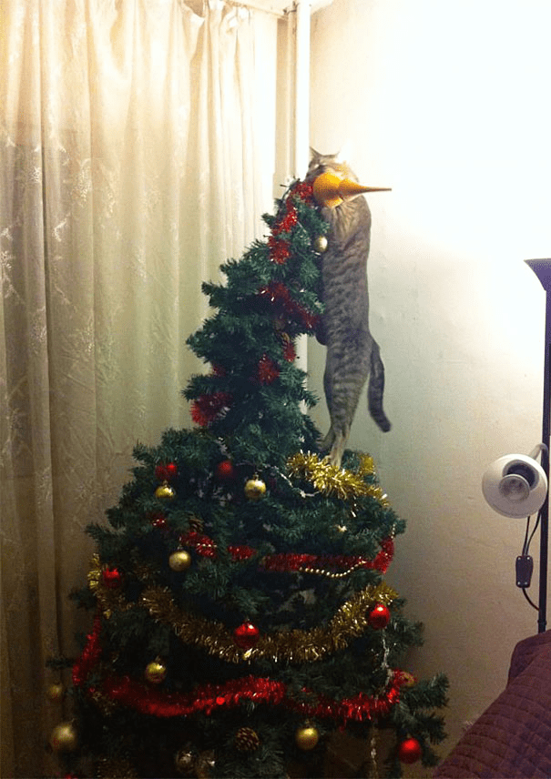 pets destroying Christmas deco