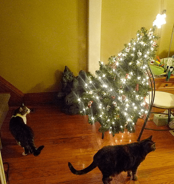 pets destroying Christmas deco