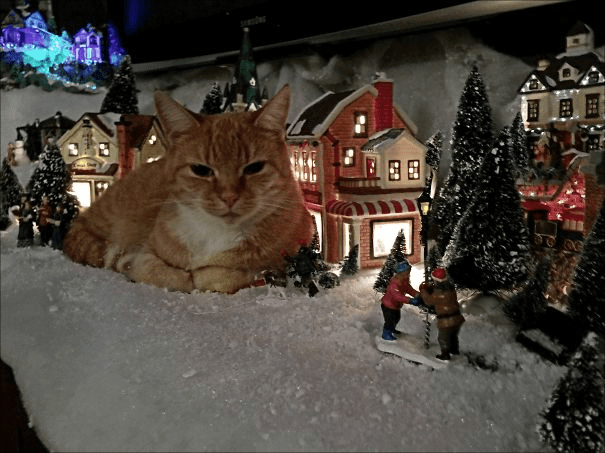 pets destroying Christmas deco