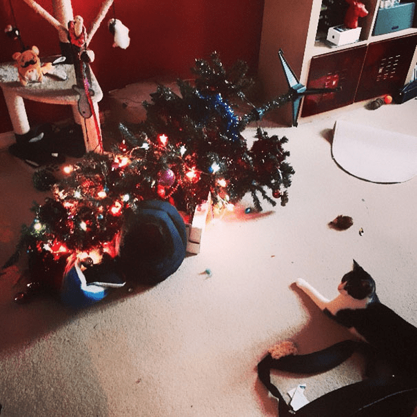 pets destroying Christmas deco