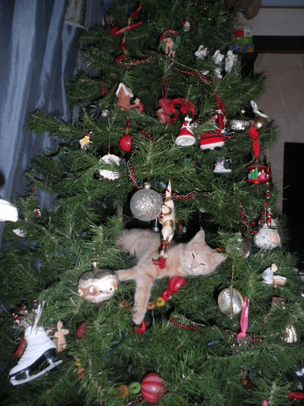 pets destroying Christmas deco