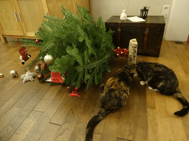 pets destroying Christmas deco