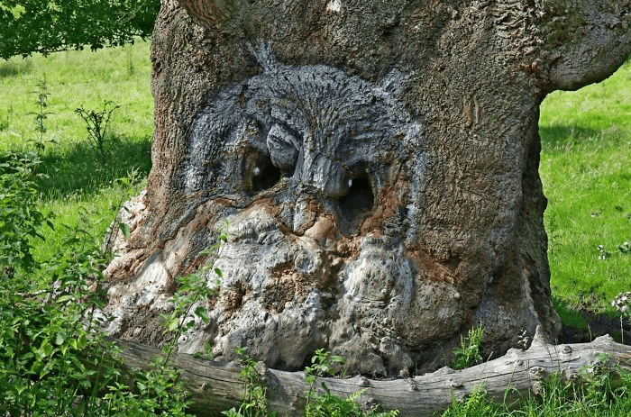 Unique Tree